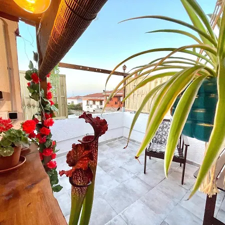 Holiday home Casa Dionea, Puerto de la Cruz (Tenerife)