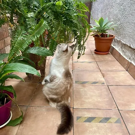 Casa Dionea, Prázdninový dům